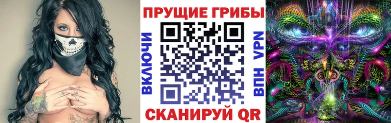 Псилоцибиновые грибы Cubensis  Гаврилов Посад 
