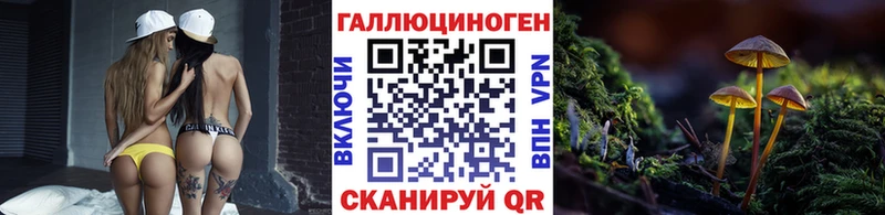 Галлюциногенные грибы Psilocybine cubensis Гаврилов Посад